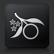 Black Square Button with Harvest Icon N3