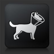 Black Square Button with Dog and Neck Cone