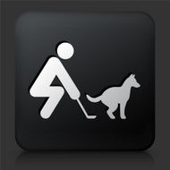 Black Square Button with Curb Your Dog