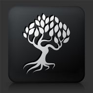 Black Square Button with Tree Icon N8