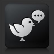 Black Square Button with Social Bird