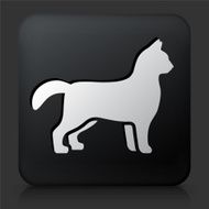 Black Square Button with Cat