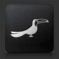 Black Square Button with Toucan Bird