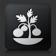 Black Square Button with Plants Icon