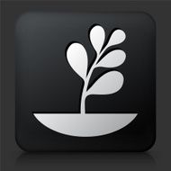Black Square Button with Plants Icon N2