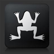 Black Square Button with Frog Icon