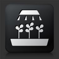 Black Square Button with Growing Plant Icon