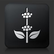 Black Square Button with Berry Plant Icon