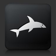 Black Square Button with Shark Icon