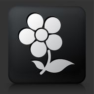 Black Square Button with Flower N2