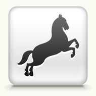 White Square Button with Horse Icon