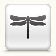 White Square Button with Dragon Fly Icon