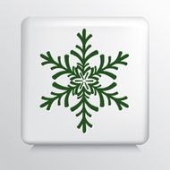Sqaure Icon With Green Snowflake Shaped Design Silhouette