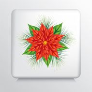Square Icon With a Big Red and Green Poinsettia