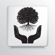 Square Icon With Two Hands Cupping a Deciduous Tree Growing