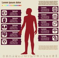 Organ Info