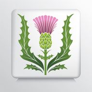 Icon With Scotch Thistle And Leaves