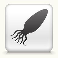 White Square Button With Squid Silhouette Icon
