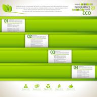 Minimal infographic template - ECO