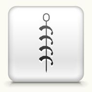 Square Button with Shrimp Kabobs