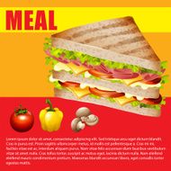 Infographic fastfood fresh ingredients