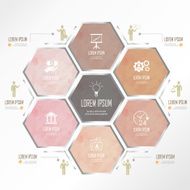 light pink hexagon business infographic N2