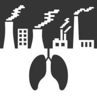environmental issues with lungs and air pollution N2