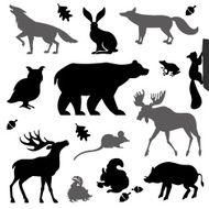 Animals living in european forest