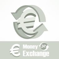 Euro symbol in grey N2