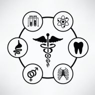 Medical info graphic design clean vector N5