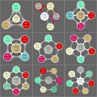 Collection of infographic templates for business N16