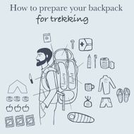 Travel Infographics N9
