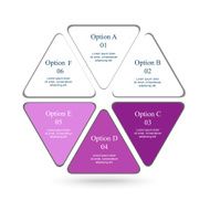 Vector infographic N113