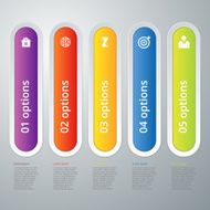 Vector illustration infographic five options N10