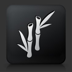 Black Square Button with Bamboo Tree Icon