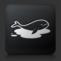 Black Square Button with Whale in Oil Leak Icon