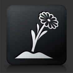 Black Square Button with Flower