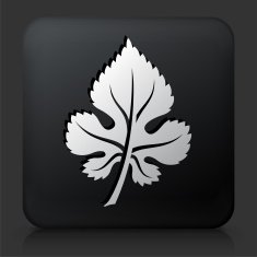 Black Square Button with Leaf Icon N8