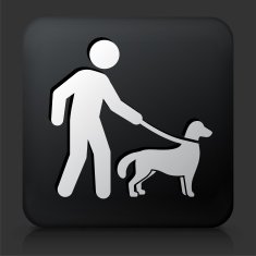 Black Square Button with Disability Dog