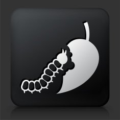 Black Square Button with Caterpillar