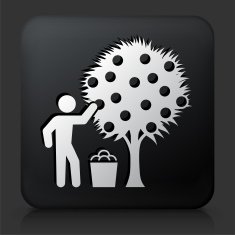 Black Square Button with Harvest Icon