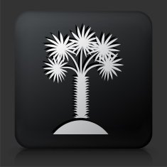 Black Square Button with Palm Tree Icon N14