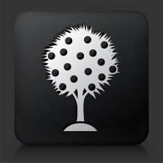 Black Square Button with Fruit Tree Icon