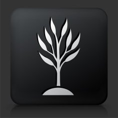 Black Square Button with Growing tree Icon N3