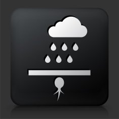 Black Square Button with Sprouting Seed N2