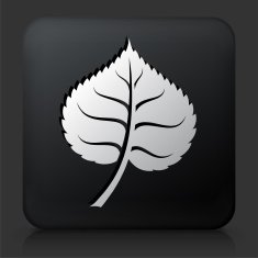 Black Square Button with Leaf Icon N11