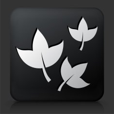 Black Square Button with Leaves