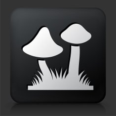 Black Square Button with Mushrooms