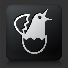 Black Square Button with Hatching Bird