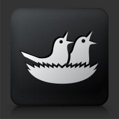 Black Square Button with Bird Icon N2